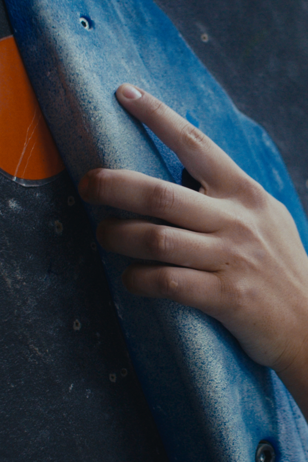 A beleza de ser um eterno aprendiz